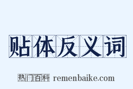 贴体反义词是什么意思的图片